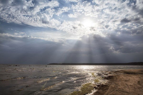 Ооо Талан Плюс