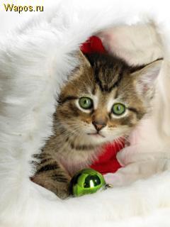 Максим Дудин