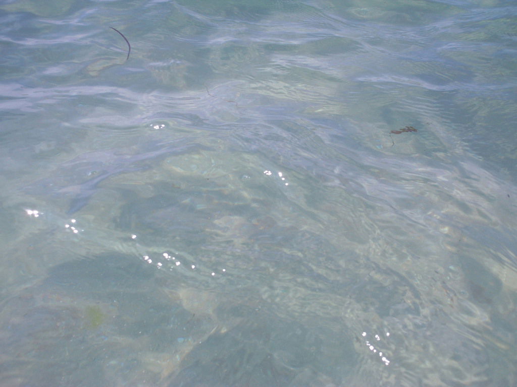 Инна Иванова