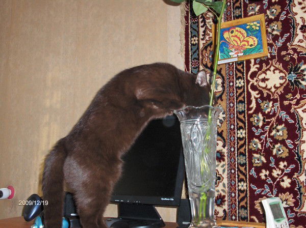 Анастасия Беспалова