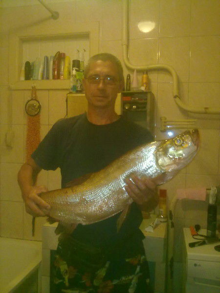 Иван Ефименко