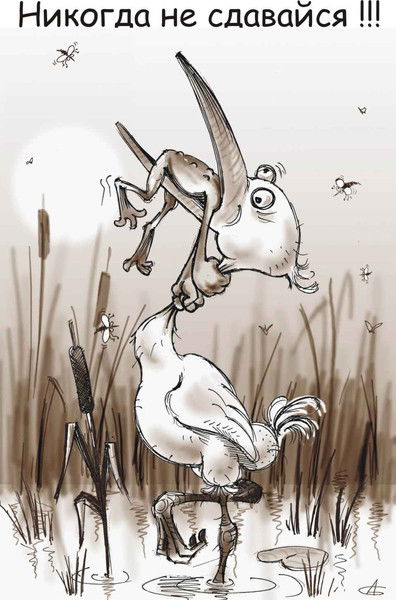 Станислав Жиберин