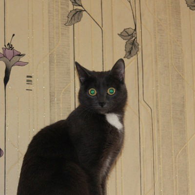 Алёна Орлова