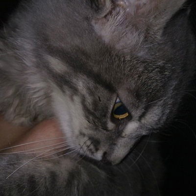 Сергей Лайдинен