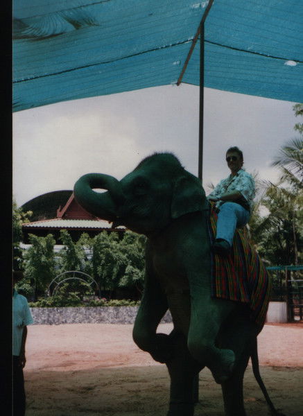 Павел Воеводин