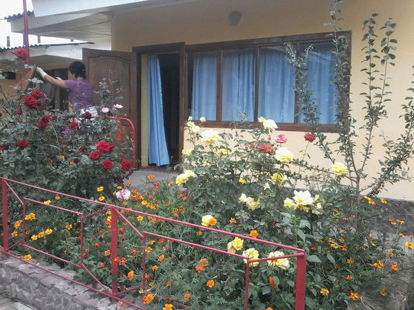 Nazgul 2Х,3Х,4Х Местные Номера...