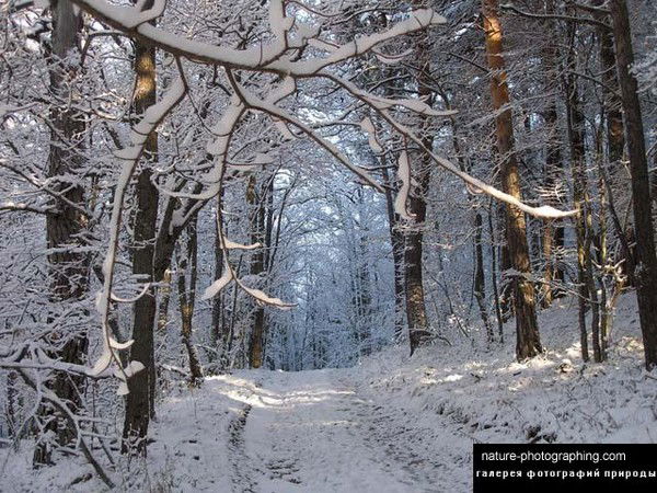 Неизвестно Неизвестно
