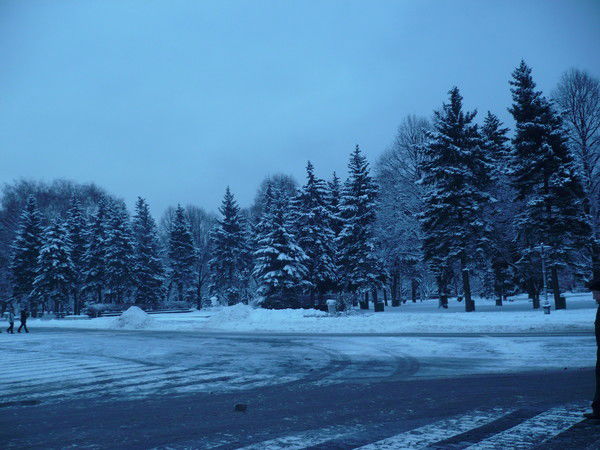 Алексей Красноборов