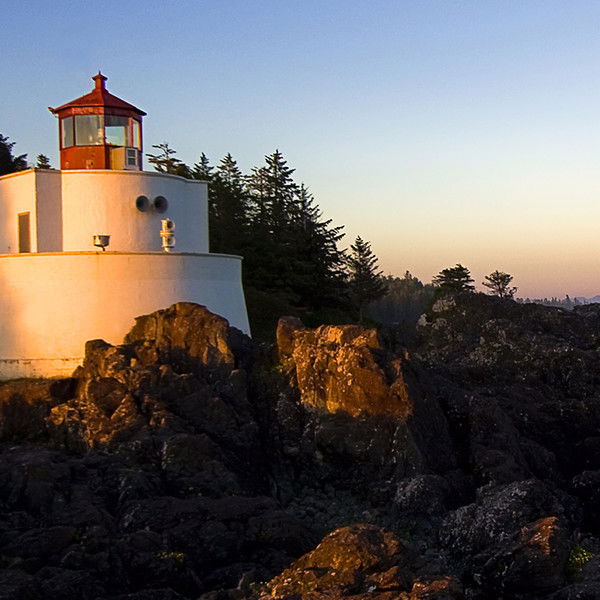 Шарипов Алишер