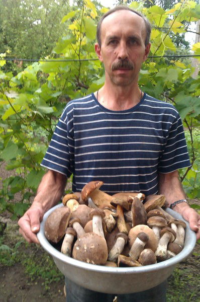 Владимир Особа