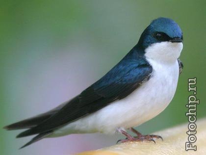 Карлыгаш Кистаубаева