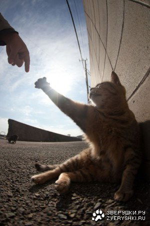 Олег Лавров