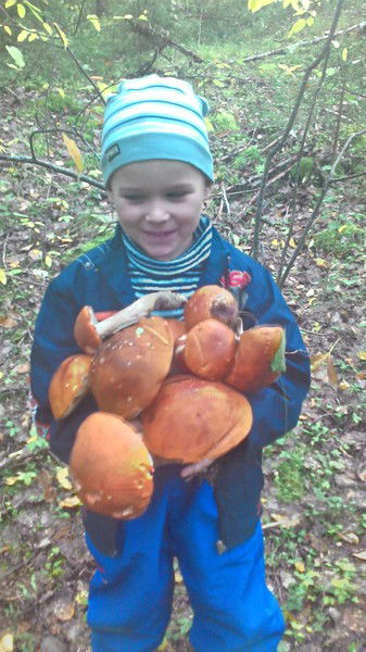 Мария Митрошкина