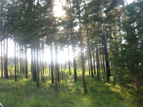 Андрей Горюнов