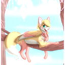 Cat Murkina