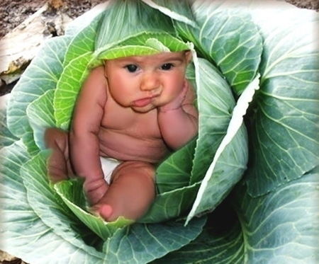 Я/с Аленушка