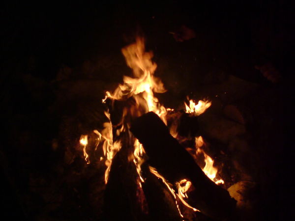 Александр Волков