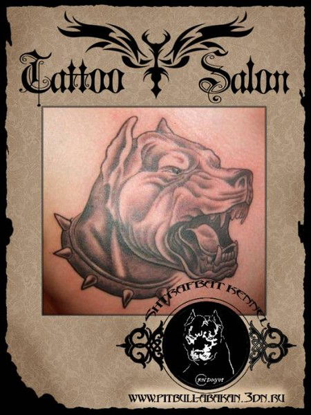 Дмитрий Варламов