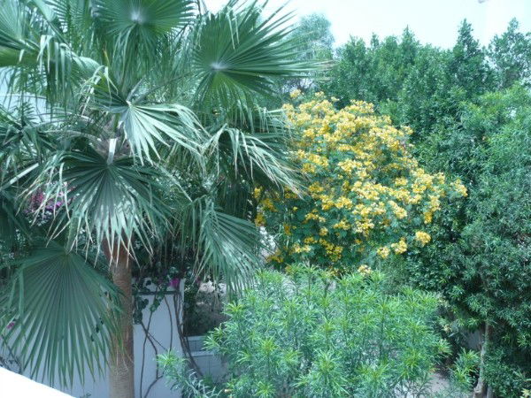 Марат Хабибуллин