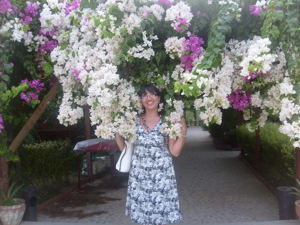 Шнар Амрина