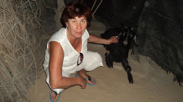 Светлана Шубина