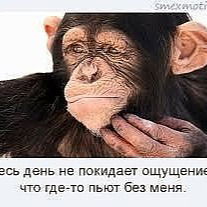 Игорь Ерцкин