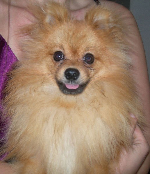 Валерий Дроздов