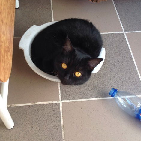 Цветкова Марина