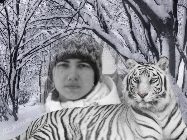 Елена ***********