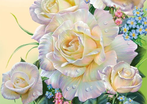 Шынар Салыкова