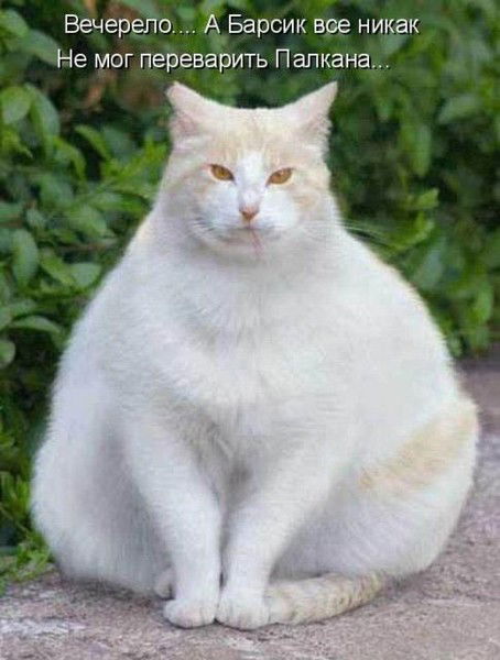 Евгений Жилин