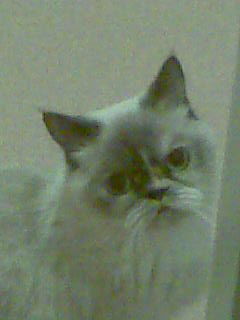 Светлана Минина