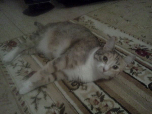 Даня Ааааааааааа