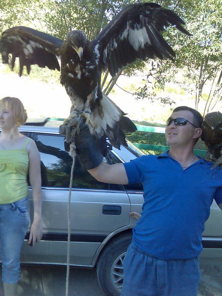 Александр Невротов