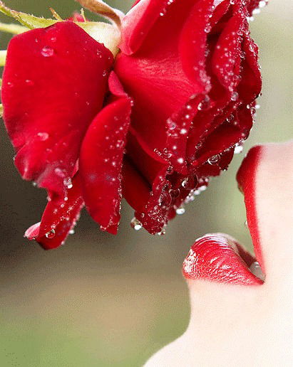 Алёна Ивойловская