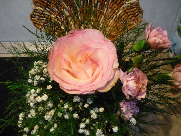 Яна Ефремова