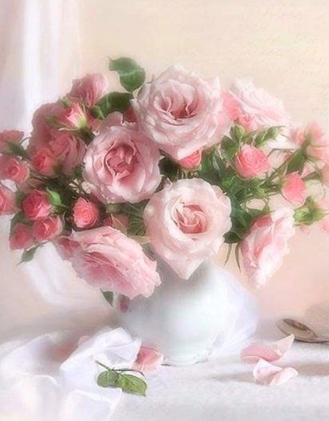 Мария Литвиненко