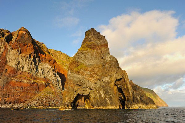 Евгения Ларионова