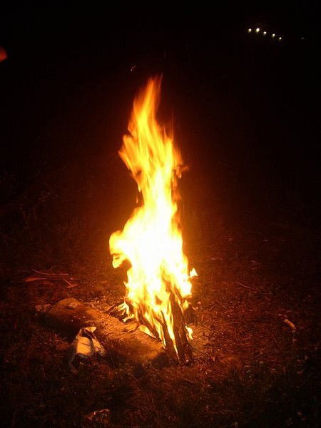 Дарина Гуменюк