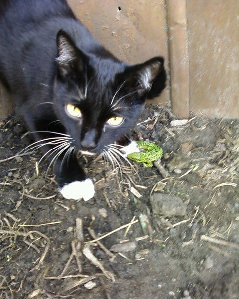 Татьяна Спивак