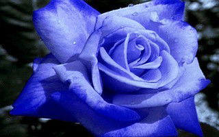 Татьяна Мельникова