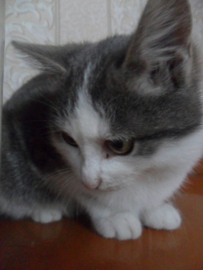 Юля Фадеева