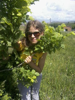 Нина Мариевская