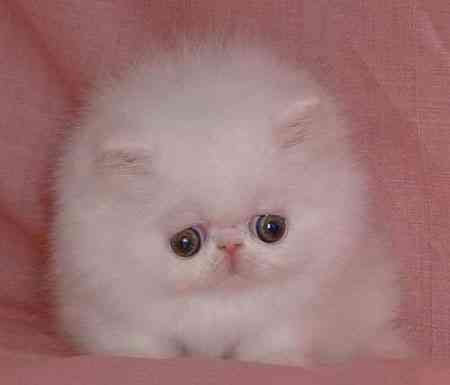 Татьяна Смирнова