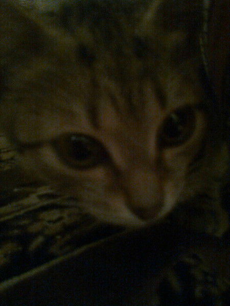 Улпан Копжасарова