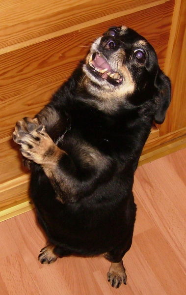 Андрей Гурыч