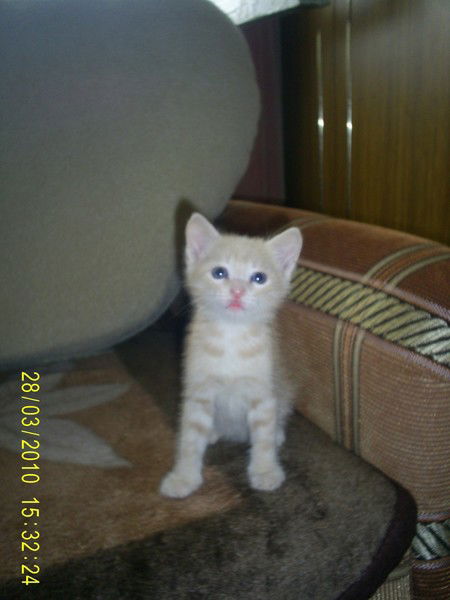 Маргарита Черепанова