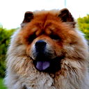 Юрий Белов