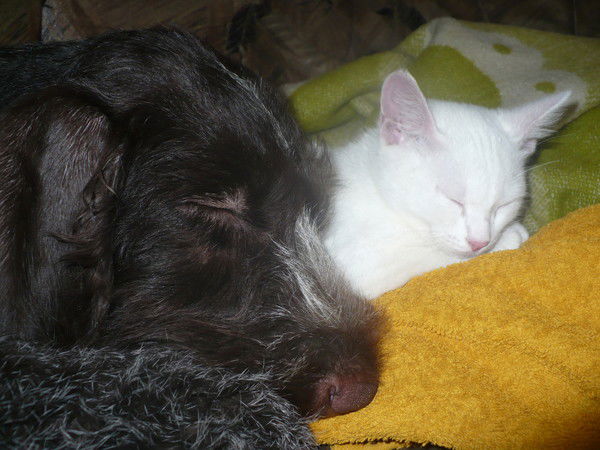 Галина Халитова