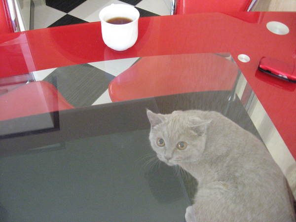 Людмила .........